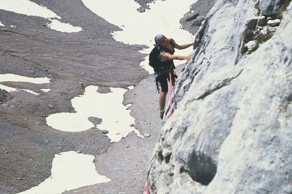 Cursos Profesionales de Escalada