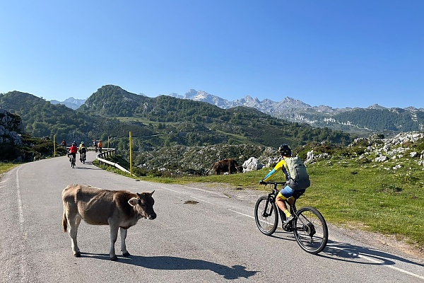 Ruta en Bici Eléctrica Subida a Lagos de Covadonga