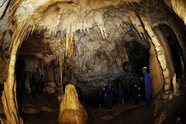 Profesionales titulados para hacer espeleología