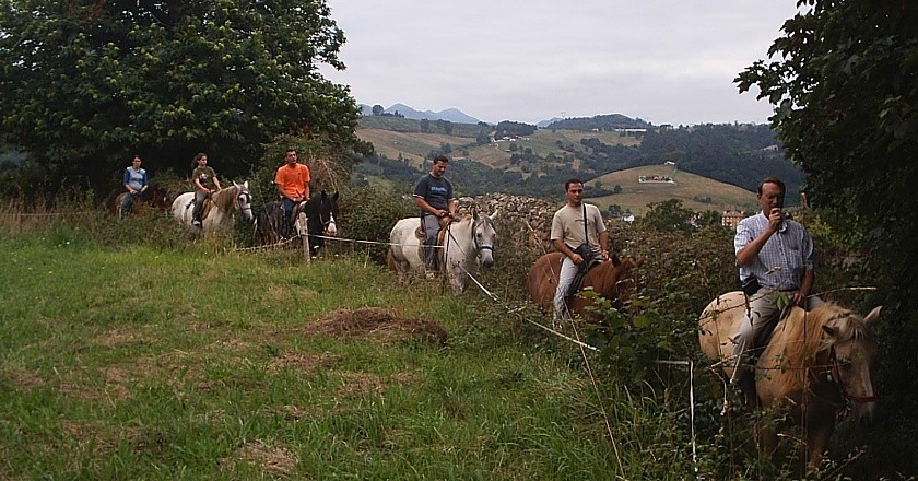 Paseos a Caballo