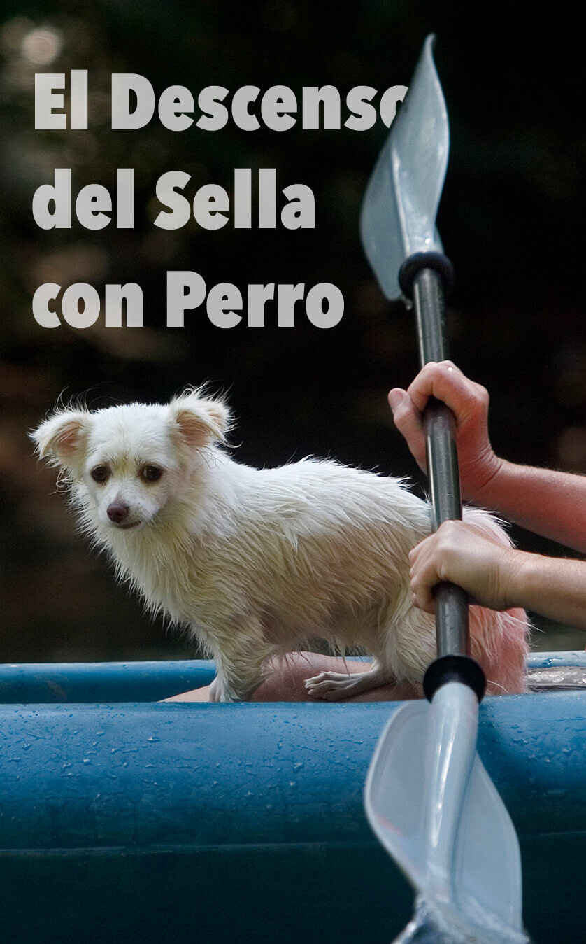 Realiza el Descenso del Sella con Perro